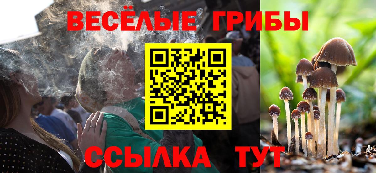 Псилоцибиновые грибы мицелий Армавир