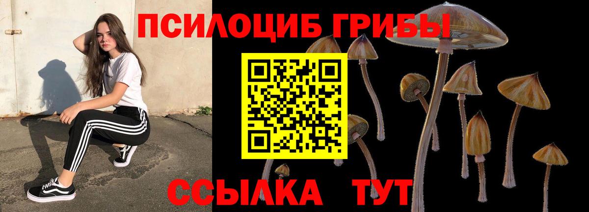 Армавир  цена   Вход с VPN  Псилоцибиновые грибы Cubensis 